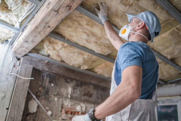 Best Geographic-Specific Insulation Services in Sound Beach, NY
